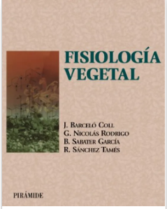 Fisiologia Vegetal